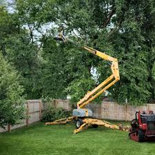 Bishop, CA Tree Removal and Landscaping Services Company